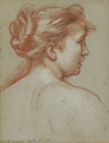 Study of a female head, seen from behind (1882)