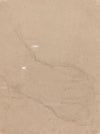Study of a Foot (verso)