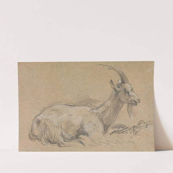 Study of a Goat by Thomas Gainsborough