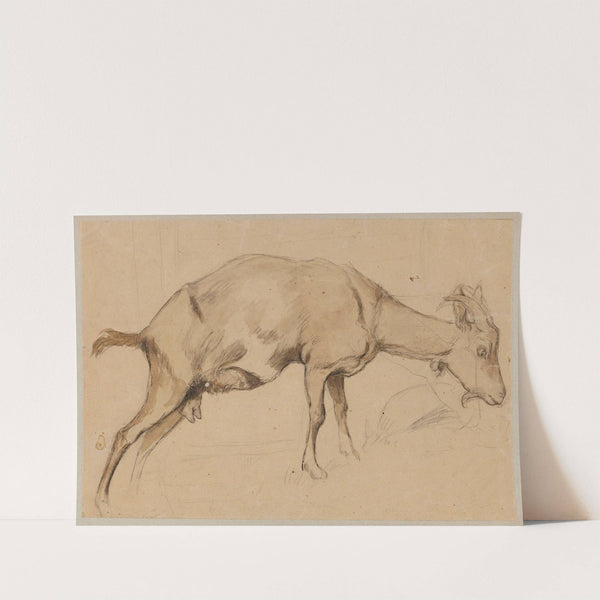 Study of a Goat (1872) by Hans Thoma