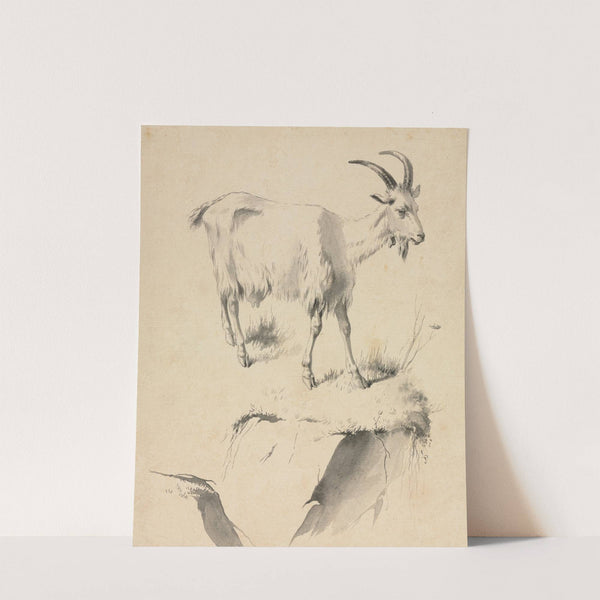 Study of a Goat by Jean-Jacques de Boissieu