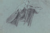 Study of a Hand Holding a Hat