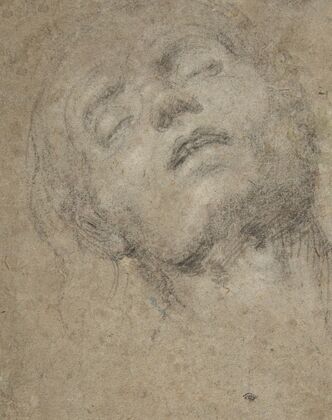Study of a Head