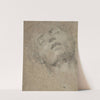 Study of a Head by Giovanni Girolamo Savoldo
