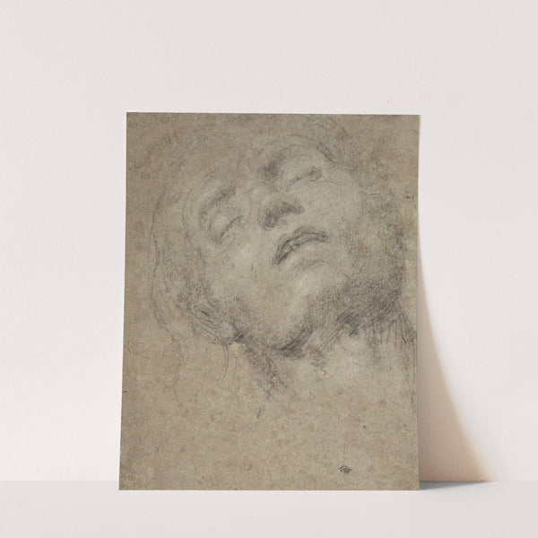 Study of a Head by Giovanni Girolamo Savoldo