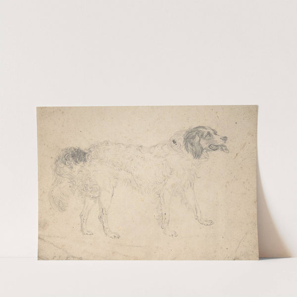 Study of a Herding Dog Facing Right by Sir Edwin Henry Landseer