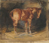 Study of a Horse