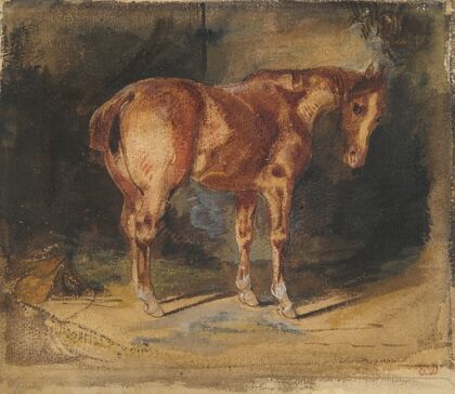 Study of a Horse