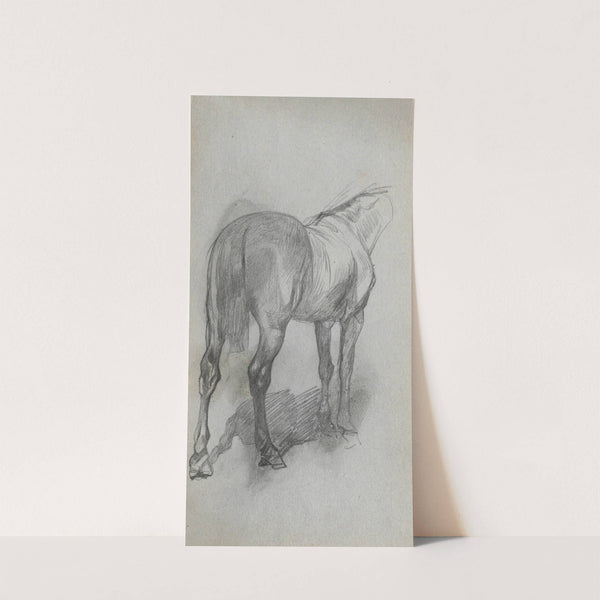 Study of a Horse 6 (1860s) by Ernest Meissonier