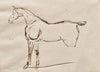 Study of a Horse (c. 1820-30)