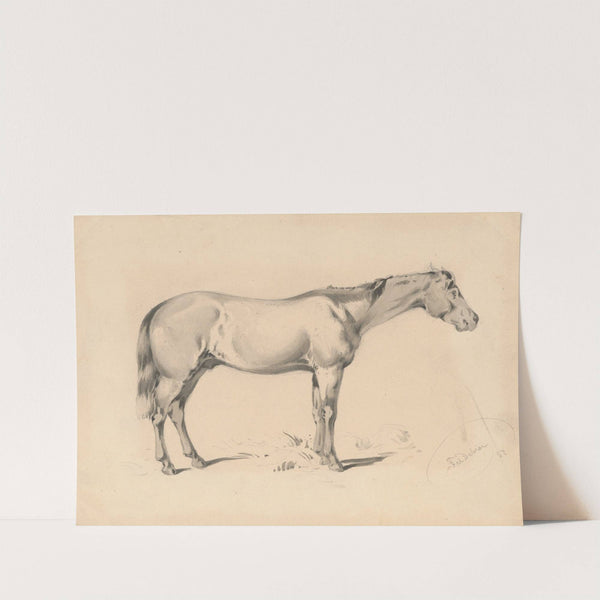 Study of a Horse I. by Friedrich Carl von Scheidlin