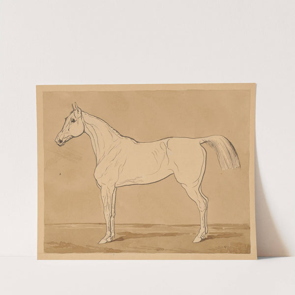 Study of a Horse II. by Friedrich Carl von Scheidlin
