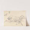Study of a horse lying down. by Sawrey Gilpin