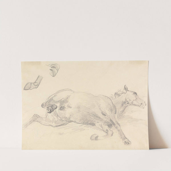 Study of a horse lying down. by Sawrey Gilpin