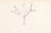 Study of a horse’s head and back (1880 - 1883)