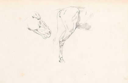 Study of a horse’s head and back (1880 - 1883)