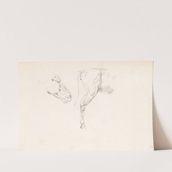 Study of a horse’s head and back (1880 - 1883) by Jozef Brandt