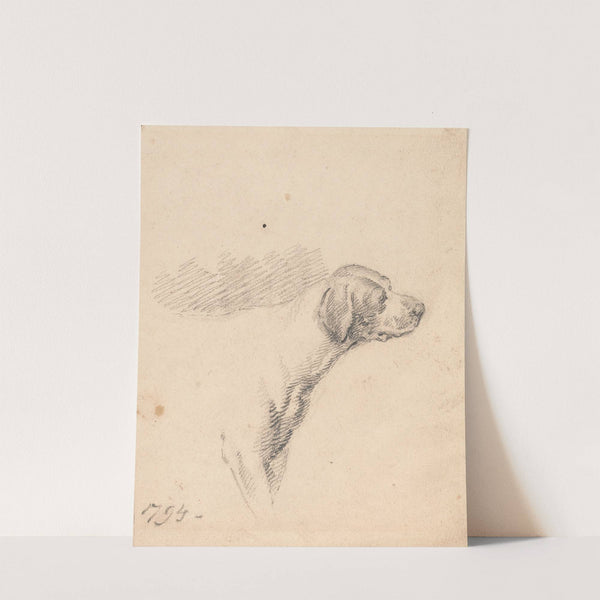 Study of a Hound; Head and Shoulders, Facing Right by George Morland