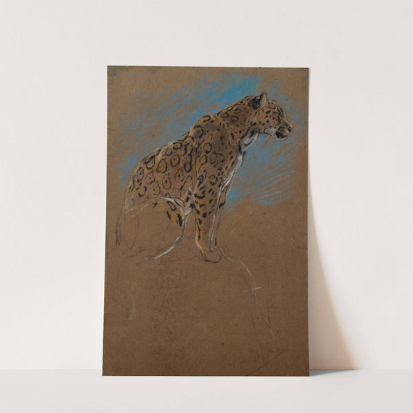 Study of a Jaguar by John Macallan Swan