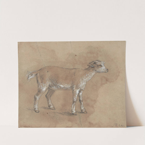 Study of a Kid by James Ward