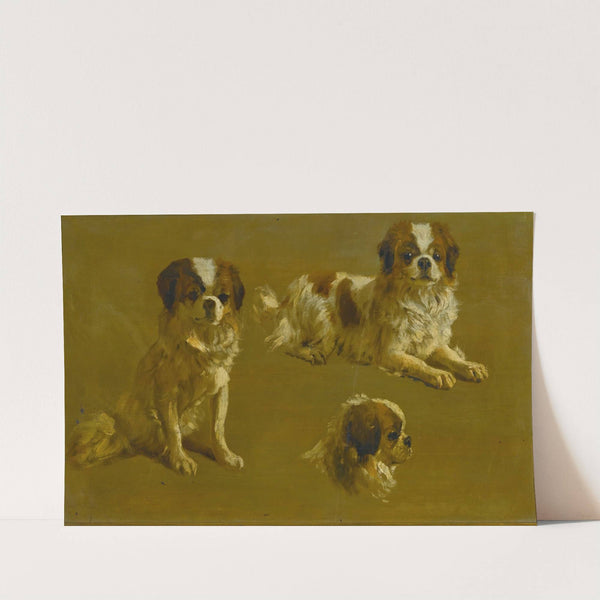 Study Of A King Charles Spaniel by Circle of Maud Earl