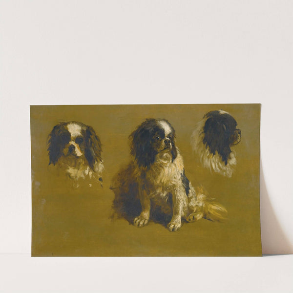Study Of A King Charles Spaniel by Circle of Maud Earl