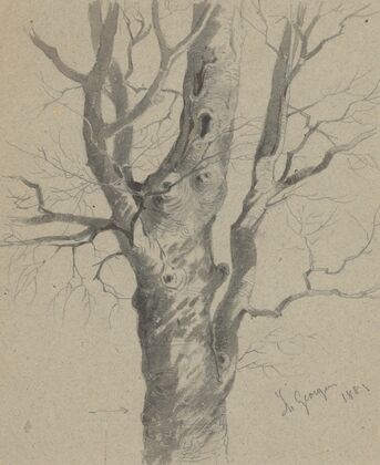 Study of a Knotted Tree Trunk — size preview