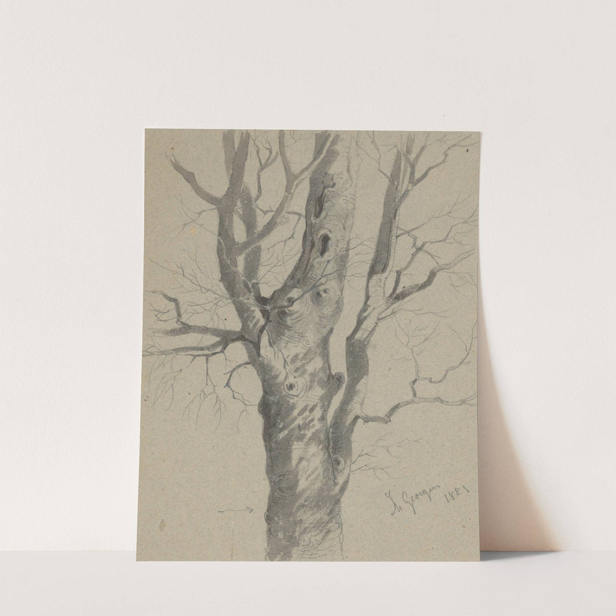 Study of a Knotted Tree Trunk by Friedrich Carl von Scheidlin