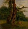 Study Of A Leafy Tree (1860–1870)