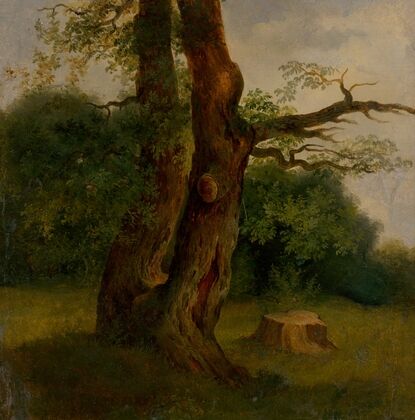 Study Of A Leafy Tree (1860–1870)