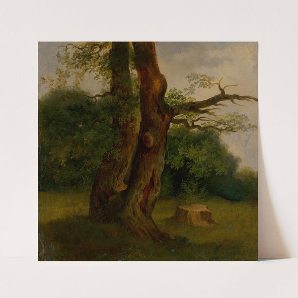 Study Of A Leafy Tree (1860–1870) by Jozef Božetech Klemens