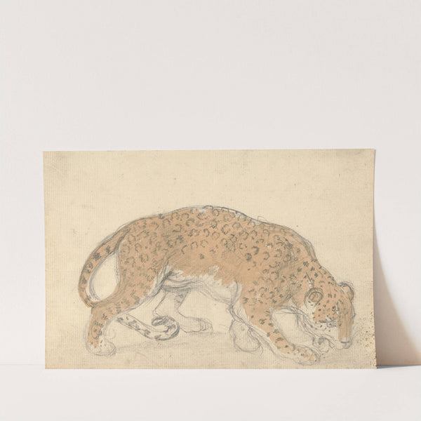 Study of a leopard by Sawrey Gilpin