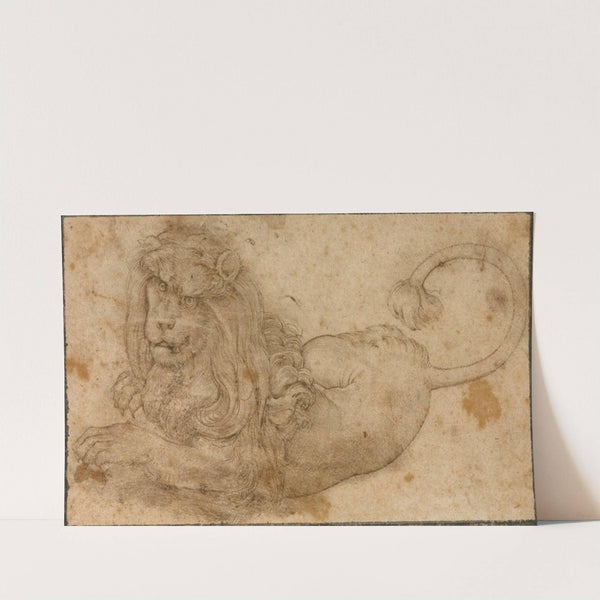 Study of a Lion (1509) by Lucas Cranach the Elder