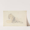 Study of a Lion by Sawrey Gilpin