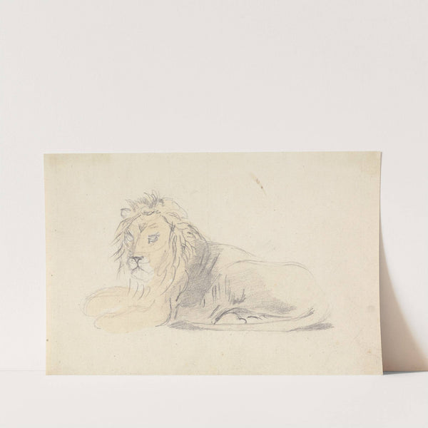 Study of a Lion by Sawrey Gilpin