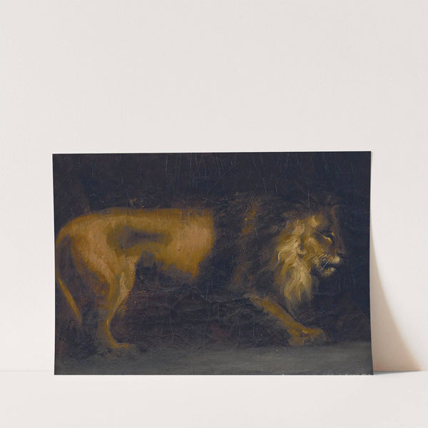 Study of a Lion by Théodore Géricault