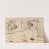 Study of a Lioness by Benjamin Robert Haydon
