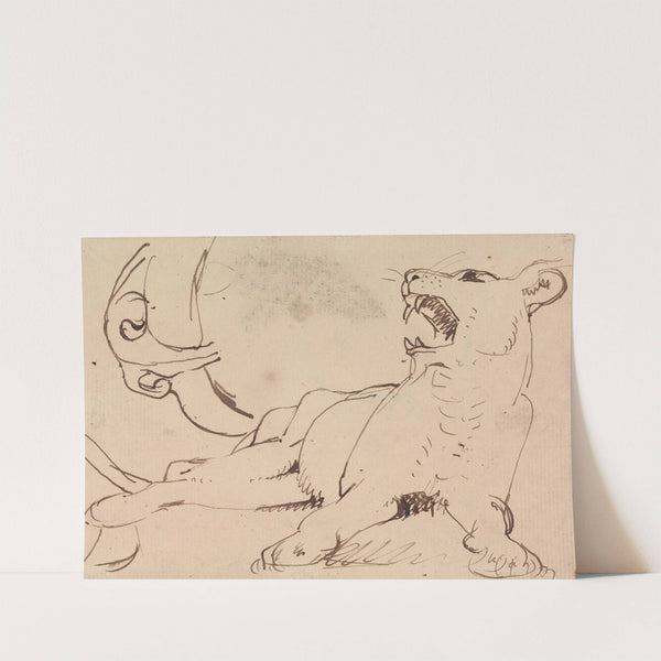 Study of a Lioness by Benjamin Robert Haydon