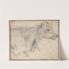 Study of a lying cow by Paulus Potter