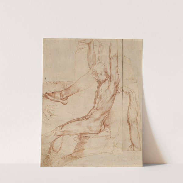 Study of a Man with Various Sketches by Polidoro da Caravaggio