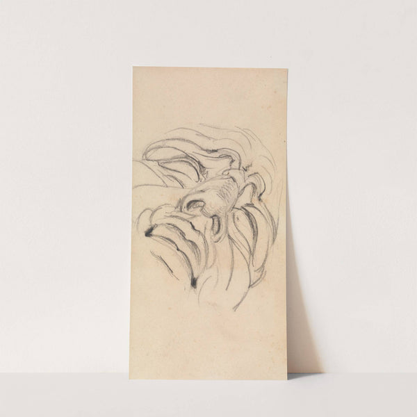 Study of a Man's Expressive Face by Benjamin Robert Haydon