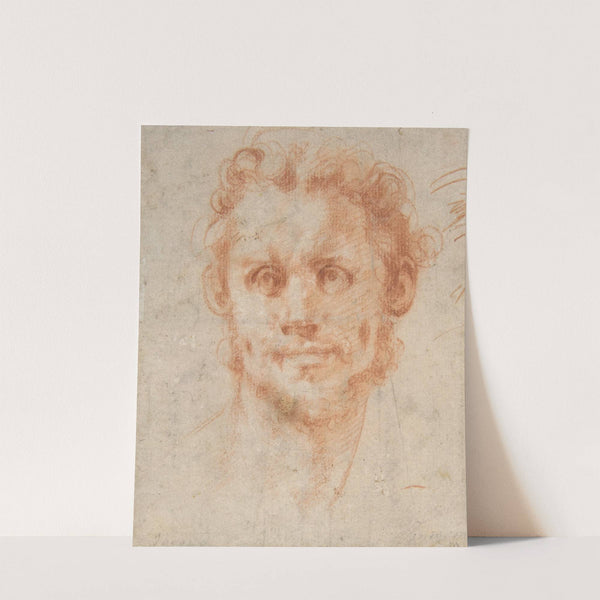 Study of a Man's Head by Pontormo (Jacopo Carucci)