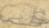Study of a man’s right hand