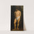 Study of a Naked Youth (c.1615-1618) by Anthony van Dyck