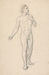 Study of a nude male