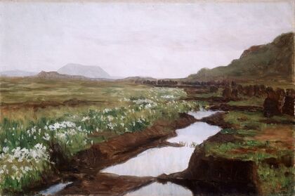 Study of a Peat Bog on Jæren