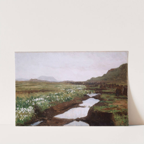 Study of a Peat Bog on Jæren by Kitty Kielland