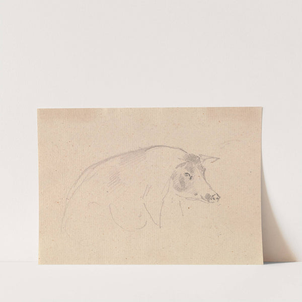 Study of a pig by Sawrey Gilpin