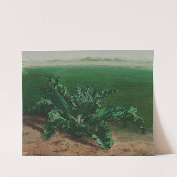 Study of a Plant, Possibly Thistle (1862) by Léon Bonvin
