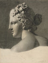 Study of a Plaster Cast (a la bosse) (1806)